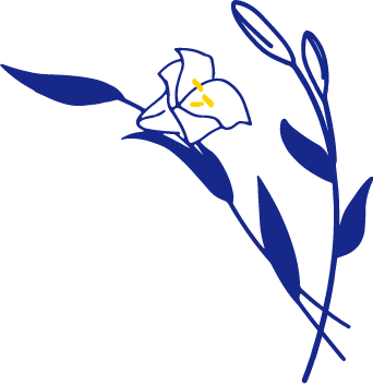 百合の花 イラスト